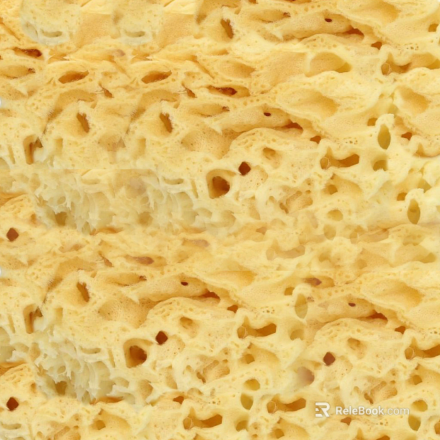 Dongshi texture
