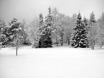 Snow texture (ID:ffhje574)