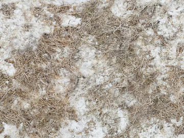 Ground-Snow texture (ID:ffhfd34)