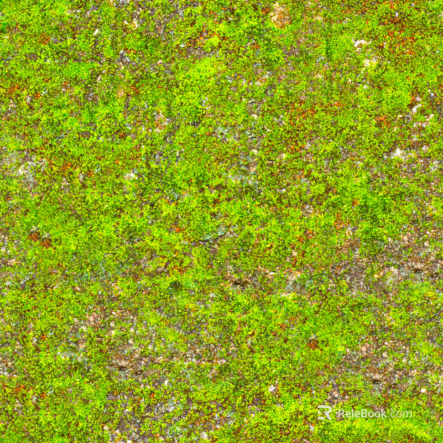 moss texture