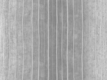 Black and White Bump texture (ID:ffacf0189)