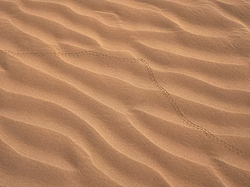 Beach texture (ID:ffabg11329)