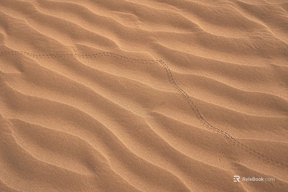 Beach texture