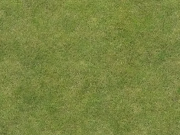 Turf texture (ID:ffaeg83607)