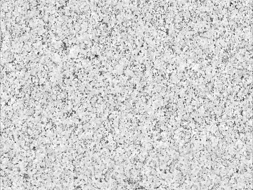 sesame white granite texture (ID:ffach682411)