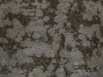 bark texture (ID:ffach532950)