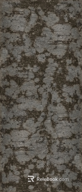 bark texture