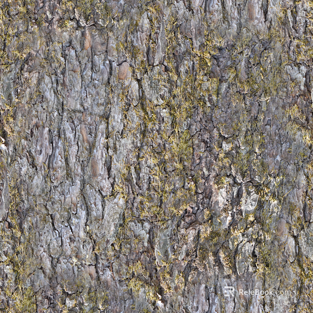 bark texture