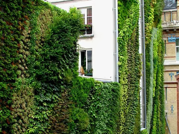 Building texture (ID:ffagg75852)