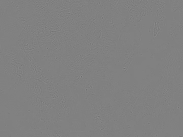 Gray textured paint, wall coating (ID:ffaeh347029)