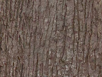 bark texture (ID:ffach192216)
