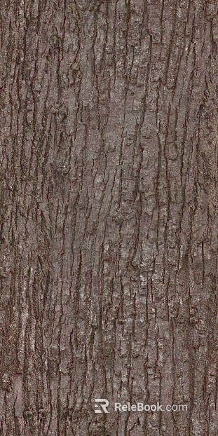 bark texture