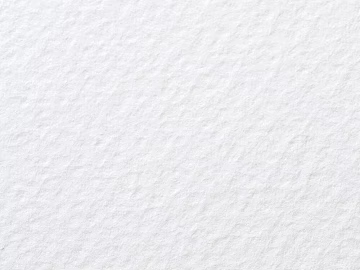 White Texture Paint Wall Finish texture (ID:ffaeh923771)