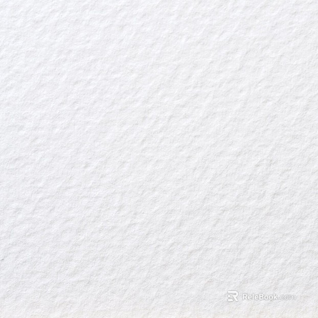 White Texture Paint Wall Finish texture