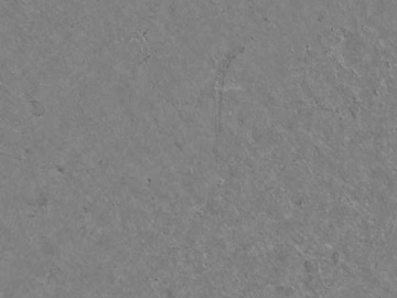 cement seamless texture (ID:ffajg75061)