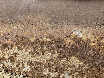 Sand texture (ID:ffaag28097)