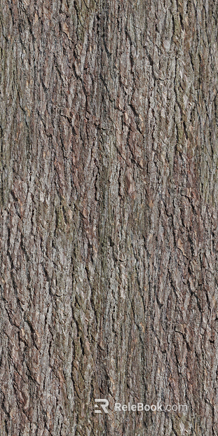bark texture