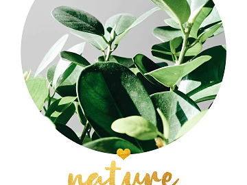 Plant painting texture (ID:ffaeg21484)