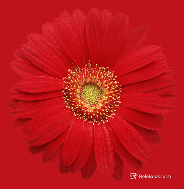 Flowers texture