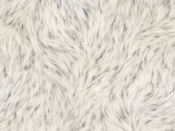 animal skin texture (ID:ffaeg19129)