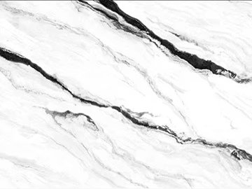 Black and White Large Flower White Marble Wall Countertop texture (ID:ffaeh971884)