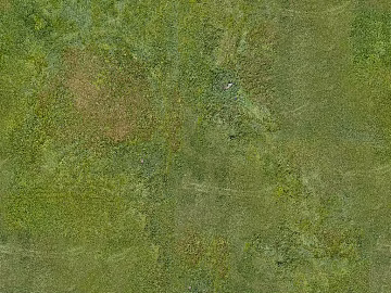 Turf texture (ID:ffacg61431)
