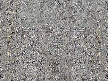 bark texture (ID:ffagg79174)