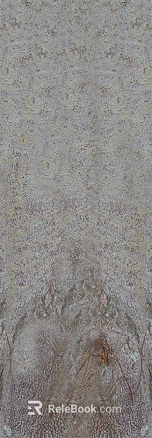 bark texture