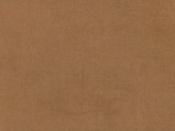 fine grain leather texture (ID:ffacg24275)