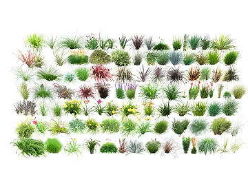 Multi-variety herbaceous plants for landscape design texture (ID:ffaeh178536)