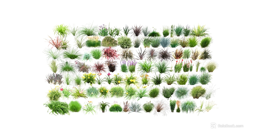 Multi-variety herbaceous plants for landscape design texture