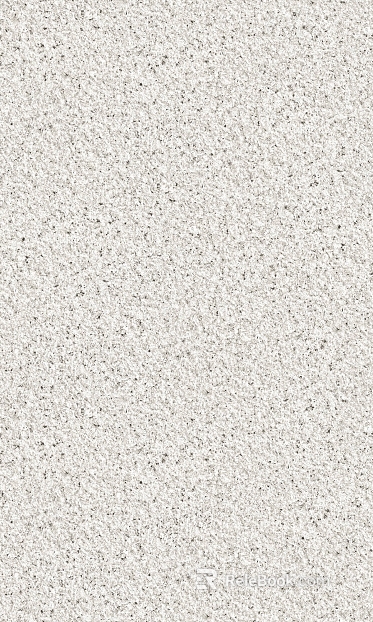 Sesame White Granite Sesame White True Stone Lacquer Sesame White Sandstone Exterior Wall Lacquer Stone texture