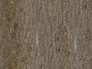 bark texture (ID:ffacg12441)
