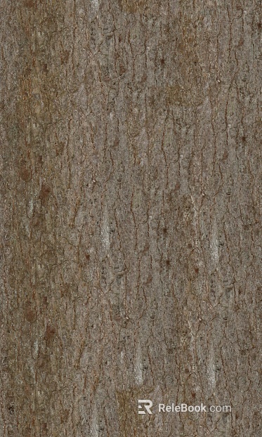 bark texture