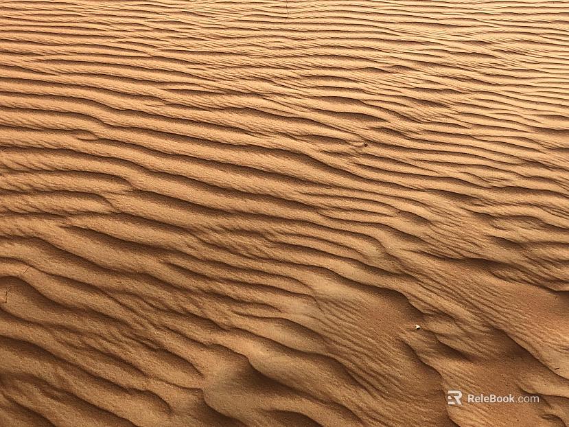 Sand texture