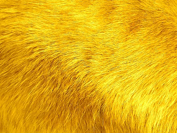 animal fur texture (ID:ffaag14632)