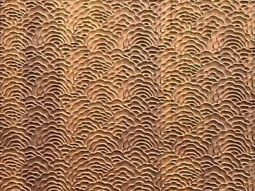 Chinese Xiangyun texture wood veneer (ID:ffach061081)