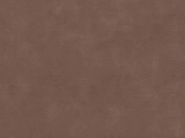 fine grain leather texture (ID:ffagg57228)