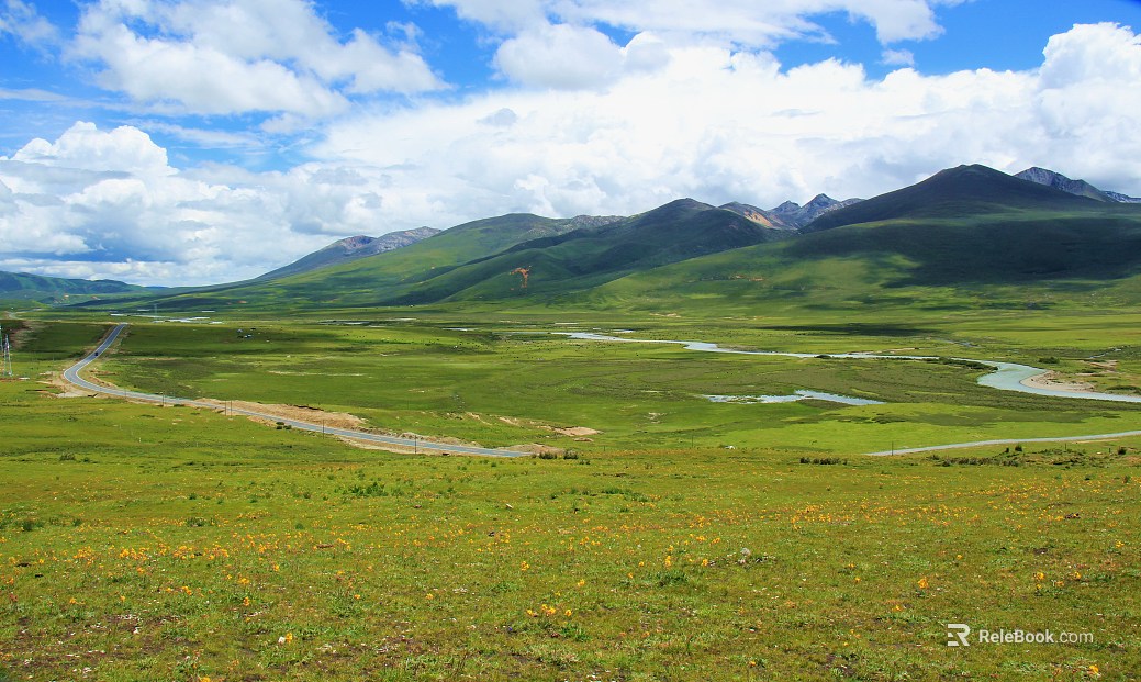 Wild Scenery texture