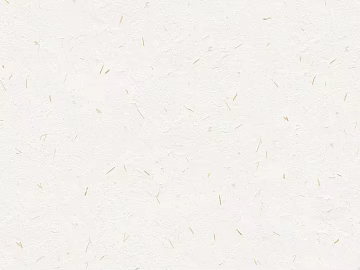 Plain Wallpaper 3d model