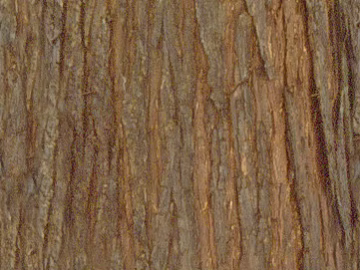bark texture (ID:ffaeg10727)