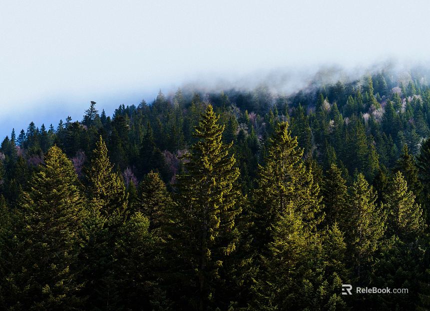 Wild Scenery texture