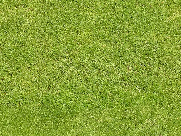 Natural Grass Turf Slope Green texture (ID:ffach991336)