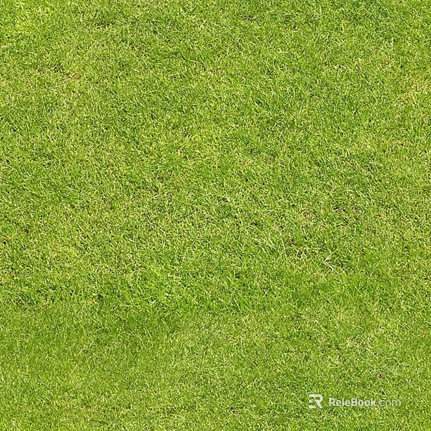 Natural Grass Turf Slope Green texture