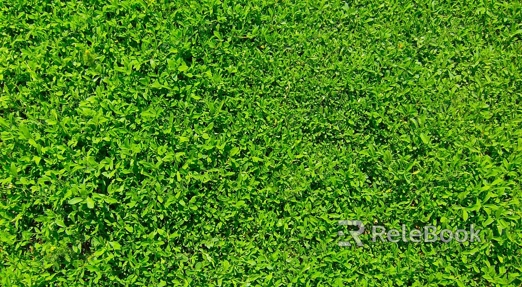 Lush, verdant scene of various green plants with broad leaves, thriving under a natural sunlight, creating a dense and vibrant jungle-like atmosphere.