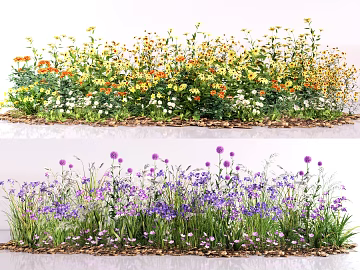 Multicolor Herb Flower Garden 3d model