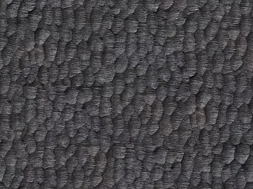 Charcoal wood 3d model