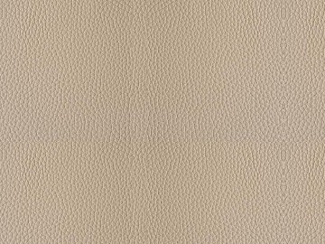 Coarse-grain leather texture (ID:ffacg33361)