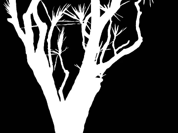 White Dead Tree Wood Decoration Map texture (ID:ffaeh155376)
