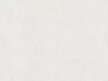 fine grain leather texture (ID:ffaeg01872)